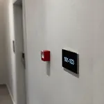 Tuyo טיראנה